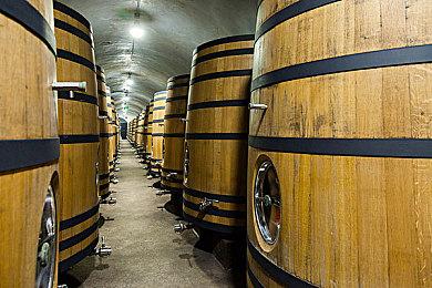 《HYENAS》发布最新预告 宣传9月初封测环节